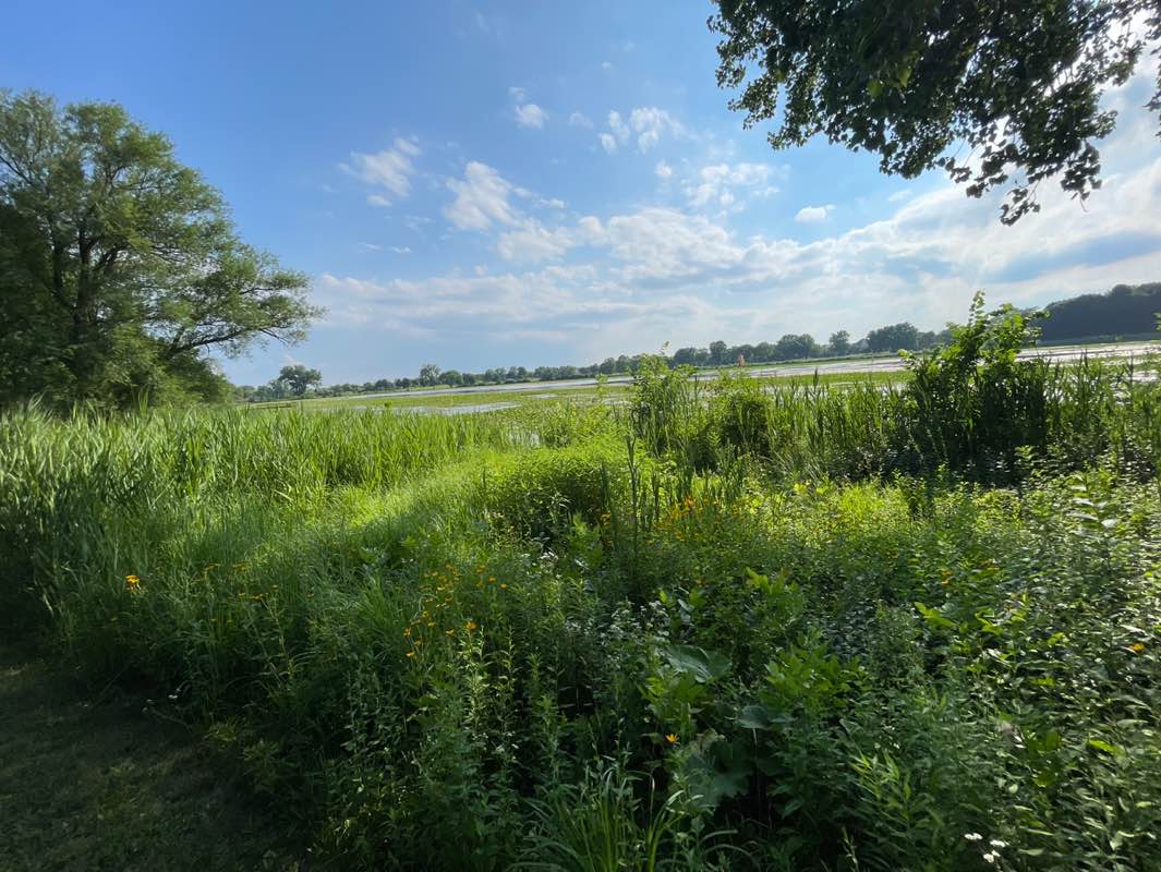 walking near me in Lake Charles Park in summer