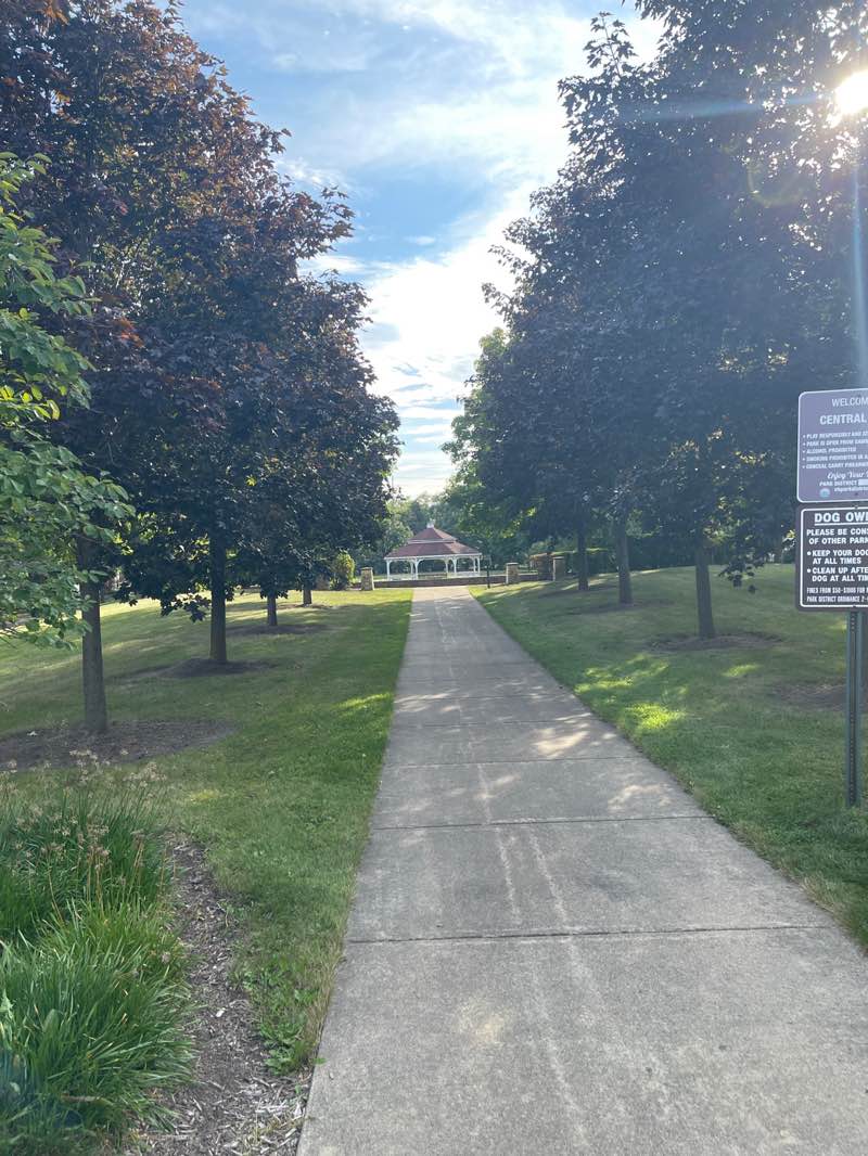 walking near me in Central Park in autumn