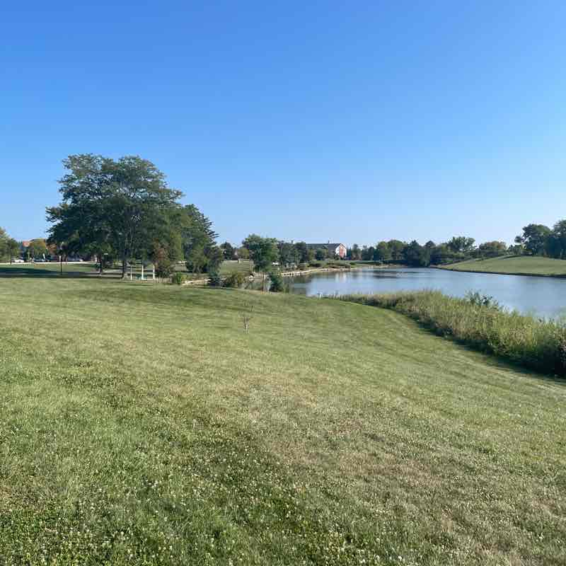 Bob 🏃🏻🎸🐈🐈‍⬛ post 1