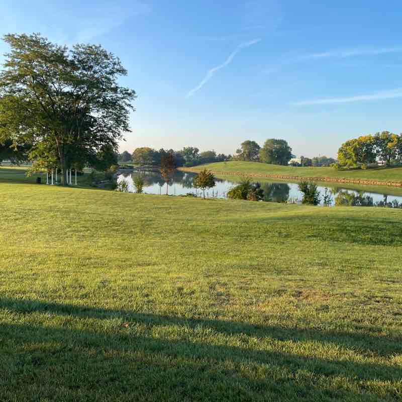 Bob 🏃🏻🎸🐈🐈‍⬛ post 1