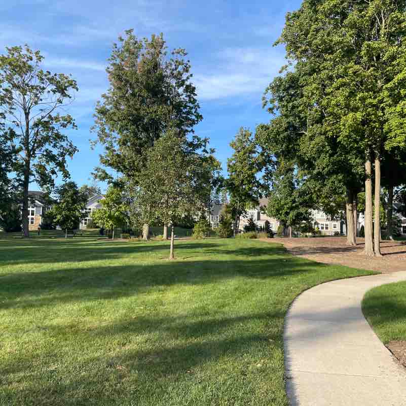 Bob 🏃🏻🎸🐈🐈‍⬛ post 1