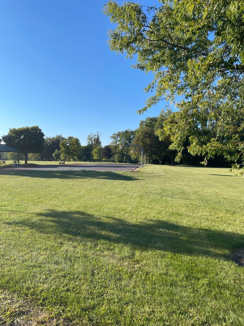 walking near me in Hawthorn Club Park in autumn
