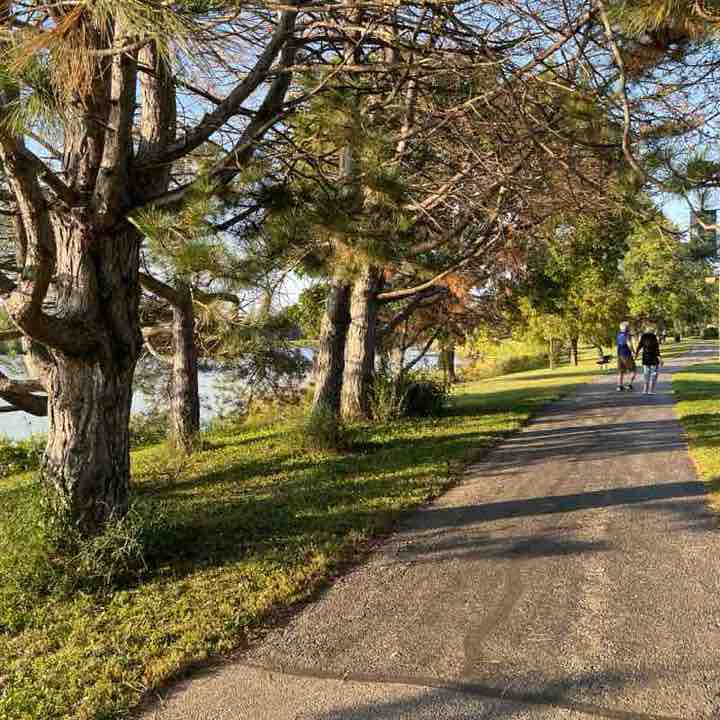 Bob 🏃🏻🎸🐈🐈‍⬛ post 1