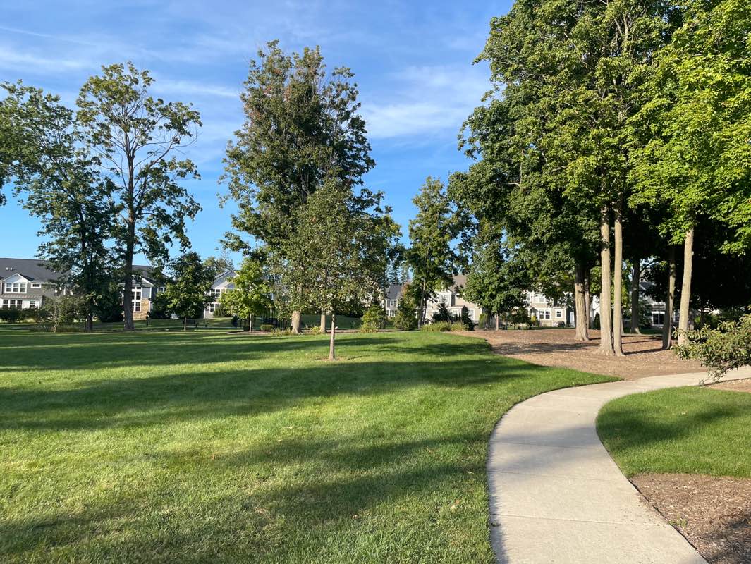 walking near me in Christopher Ross Park in autumn