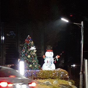 10323 장채윤 profile