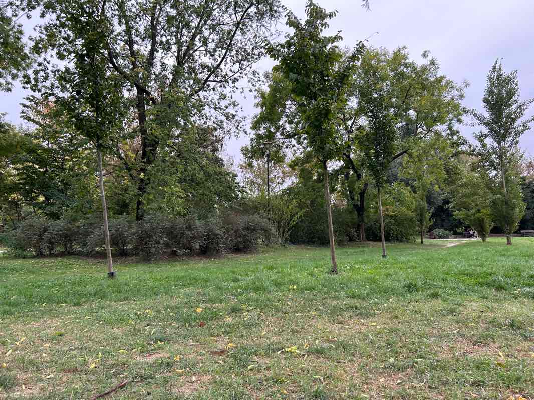 walking near me in Футошки парк in winter