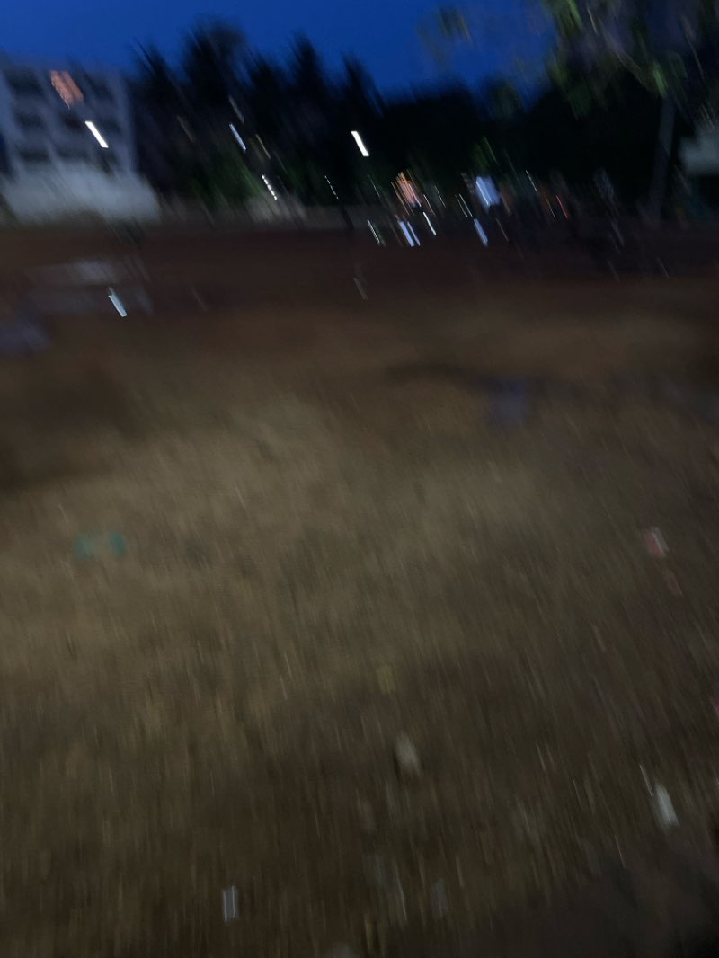 walking near me in Alphonso Government play ground in spring