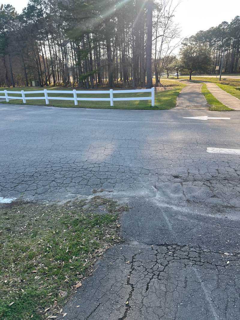 walking near me in Jacksonville Commons in spring