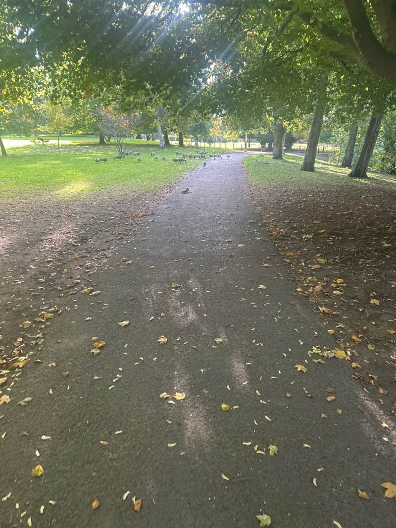 walking near me in Priory Gardens in autumn