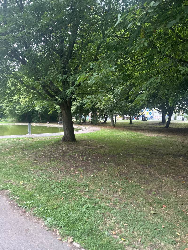 walking near me in Riverside gardens in autumn