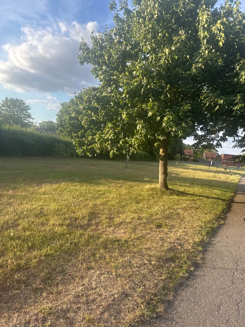 walking near me in Grassmeade Recreation Ground in summer
