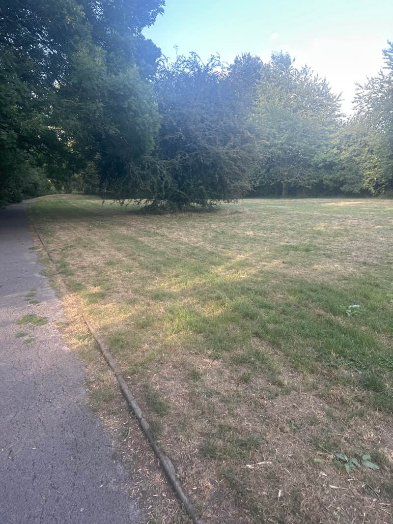 walking near me in Riverside Gardens in autumn