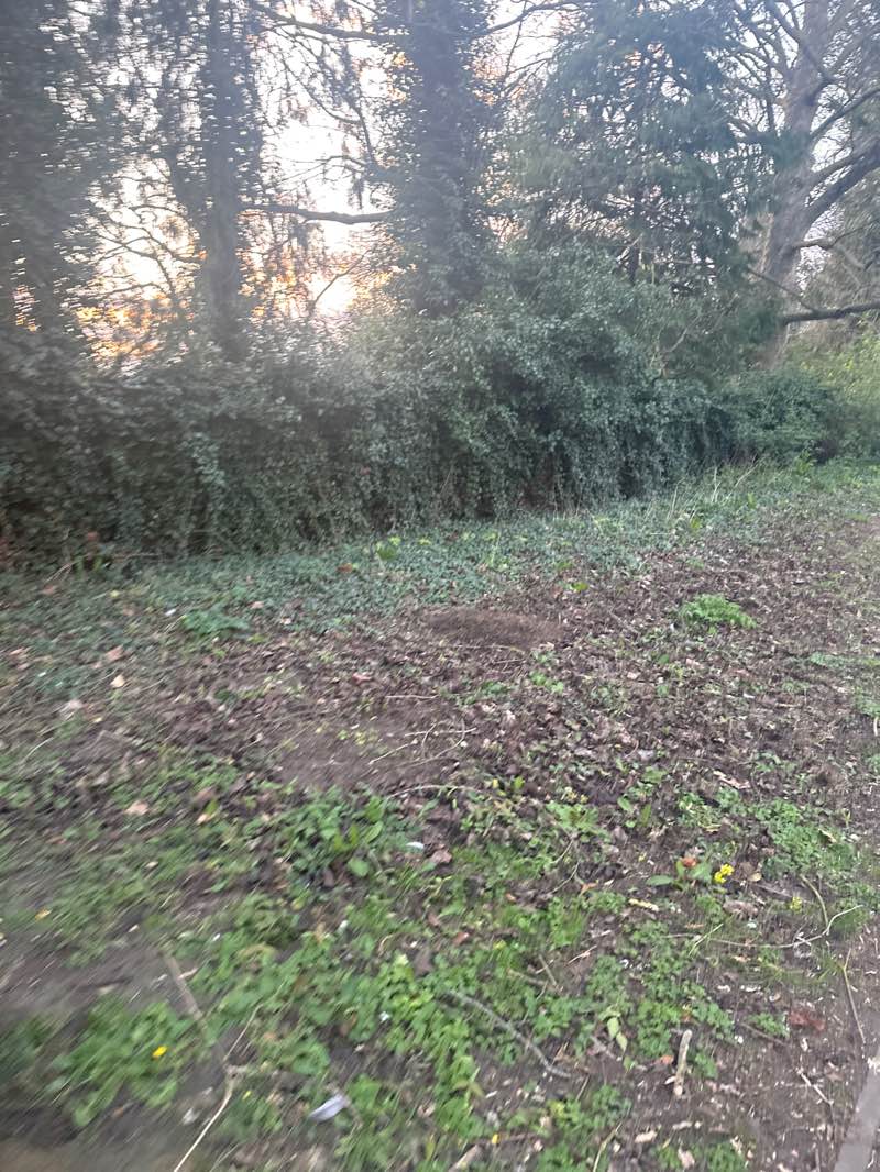 walking near me in Priory Gardens in spring