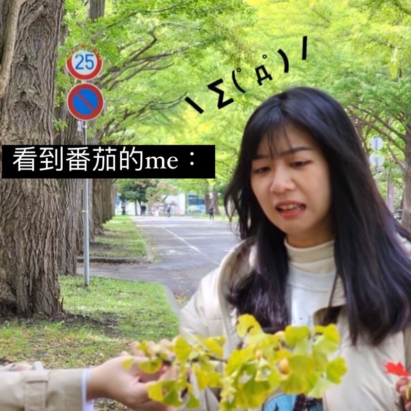 贏 33簡簡單單 profile