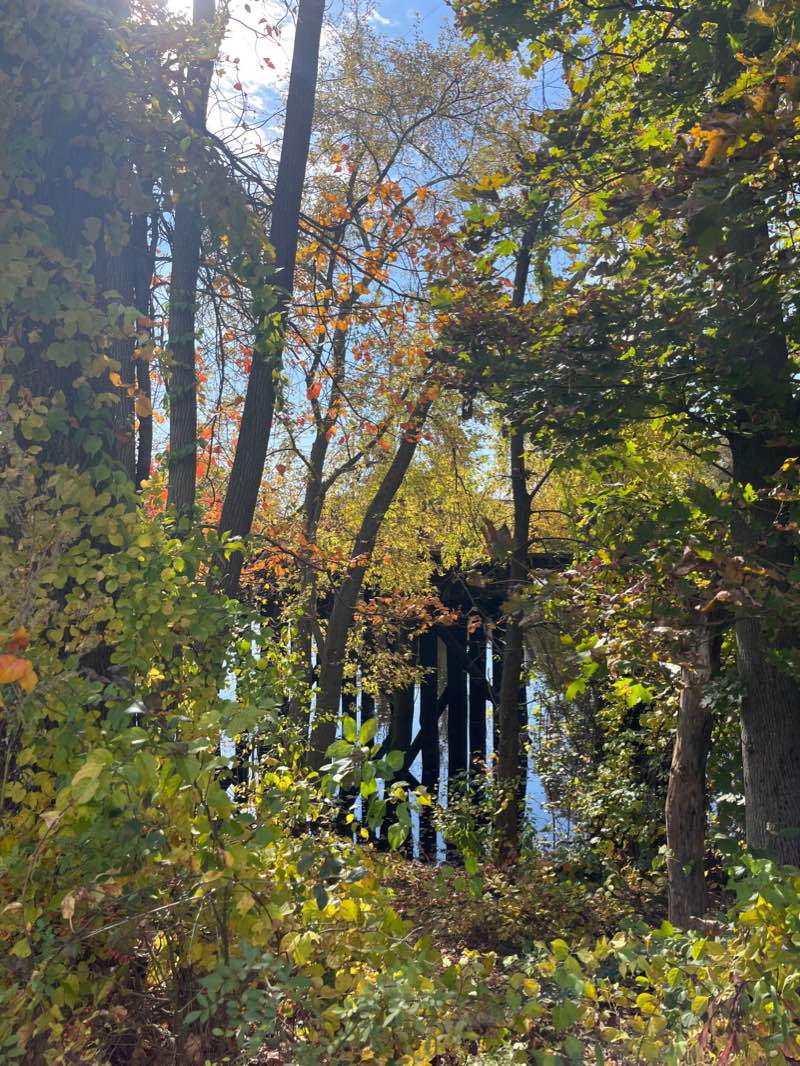 walking near me in Shedd Park in winter