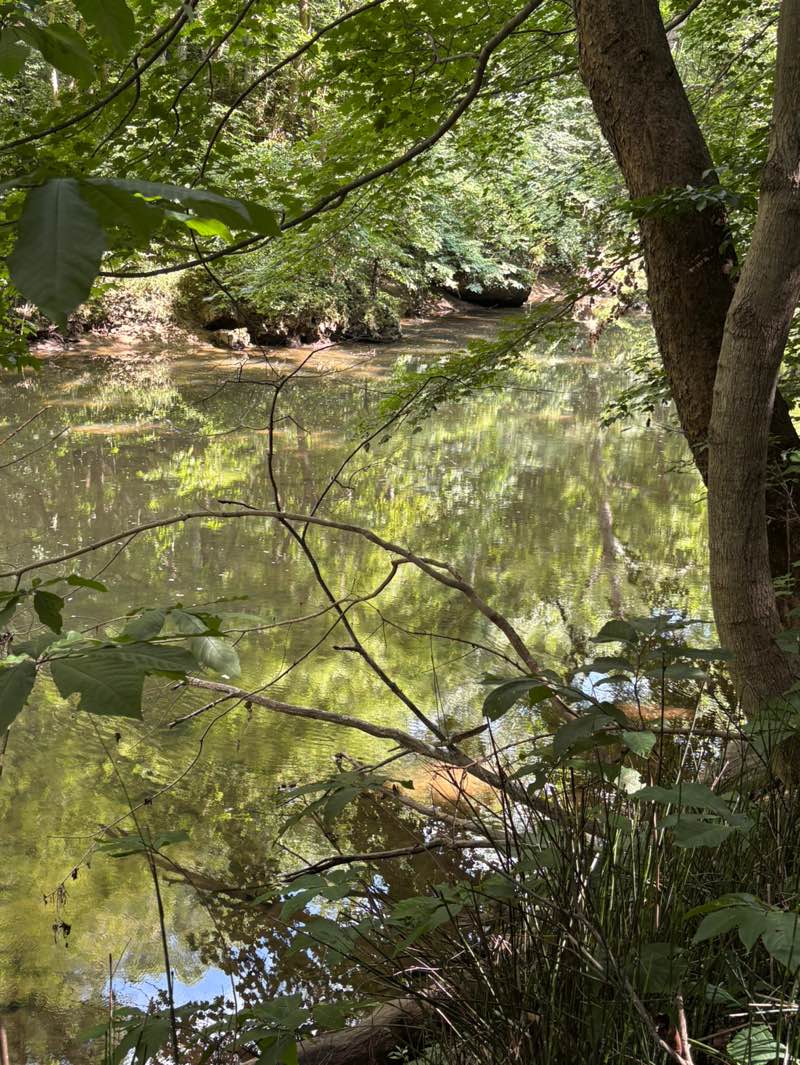 walking near me in Miller Sanctuary State Nature Preserve in summer