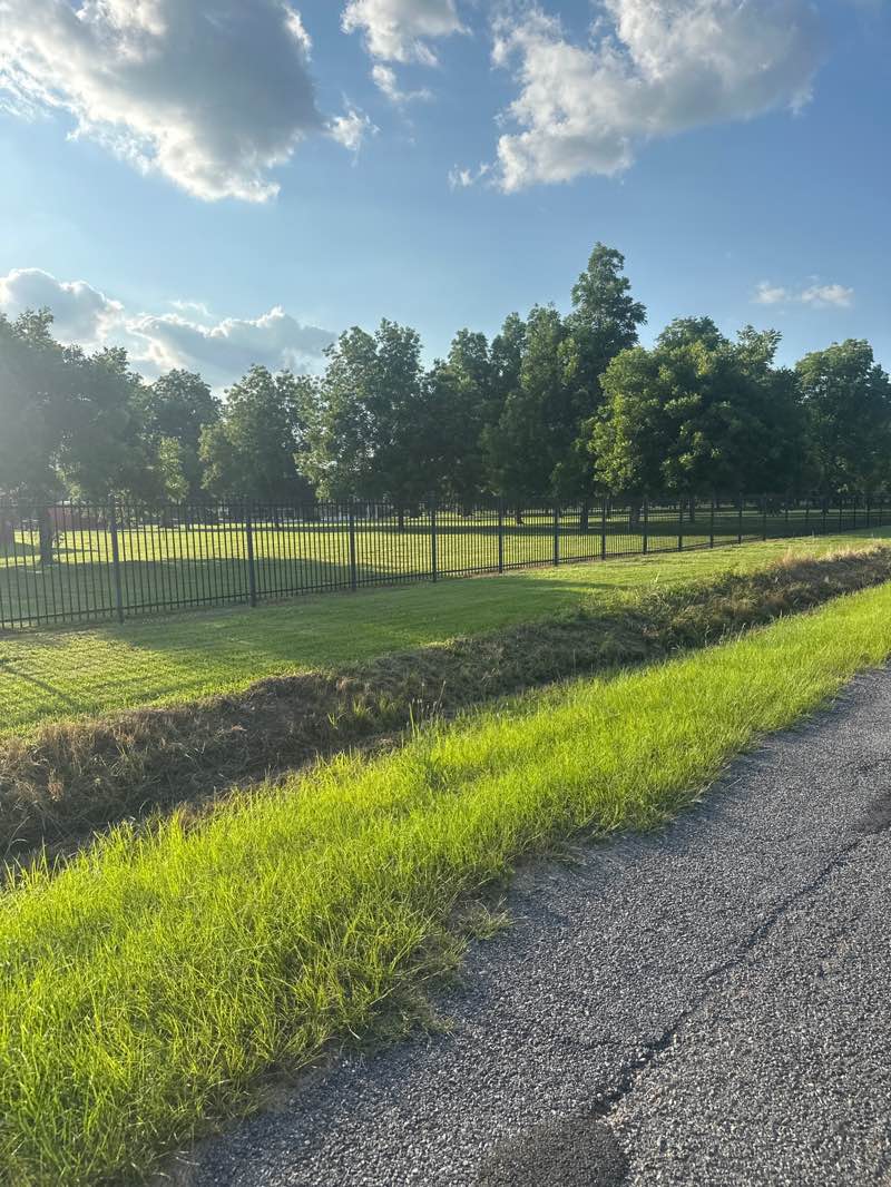 walking near me in Children's Park in summer