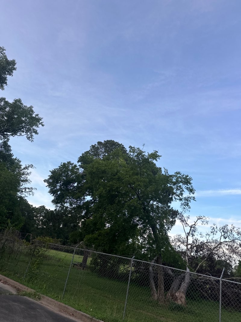 walking near me in Jesse Williams Park in summer