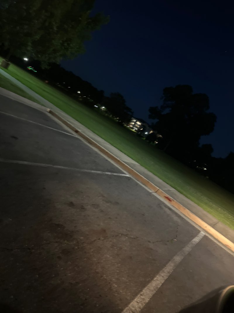 walking near me in Bayou Park in summer