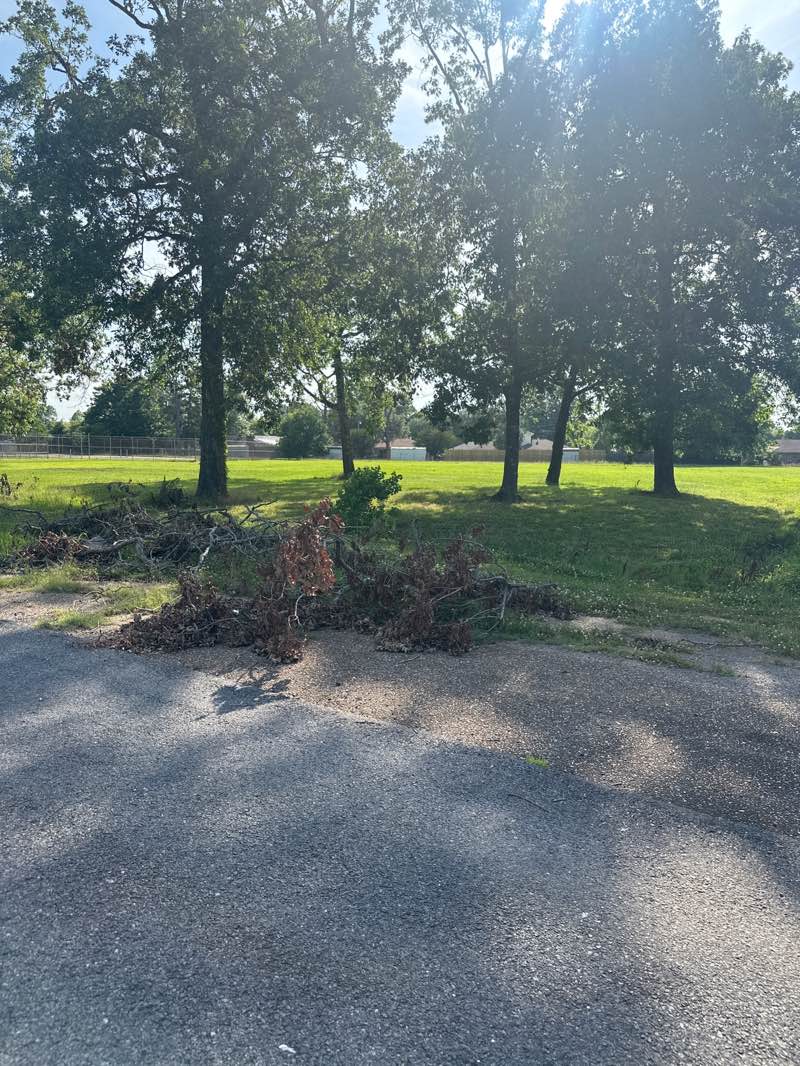 walking near me in Robinson Place Park in summer