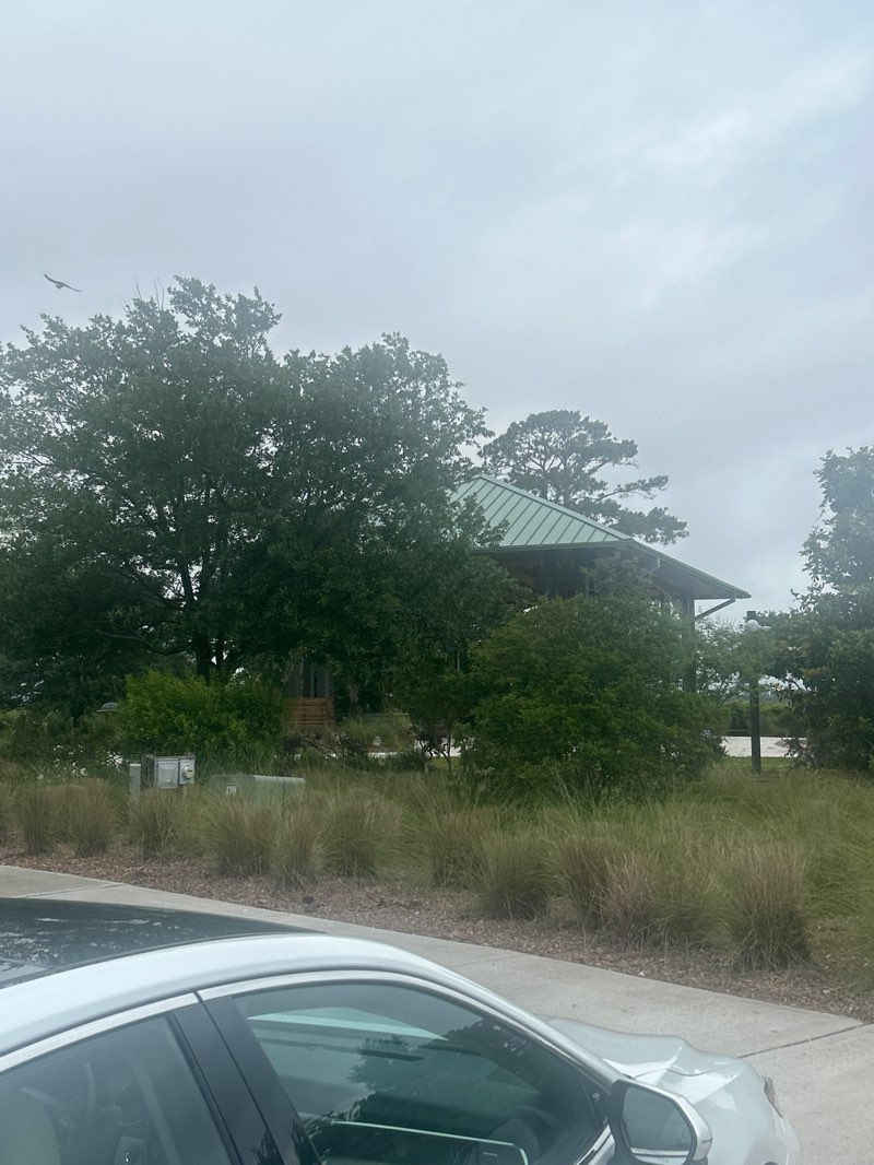 walking near me in Shelter Cove Park in spring