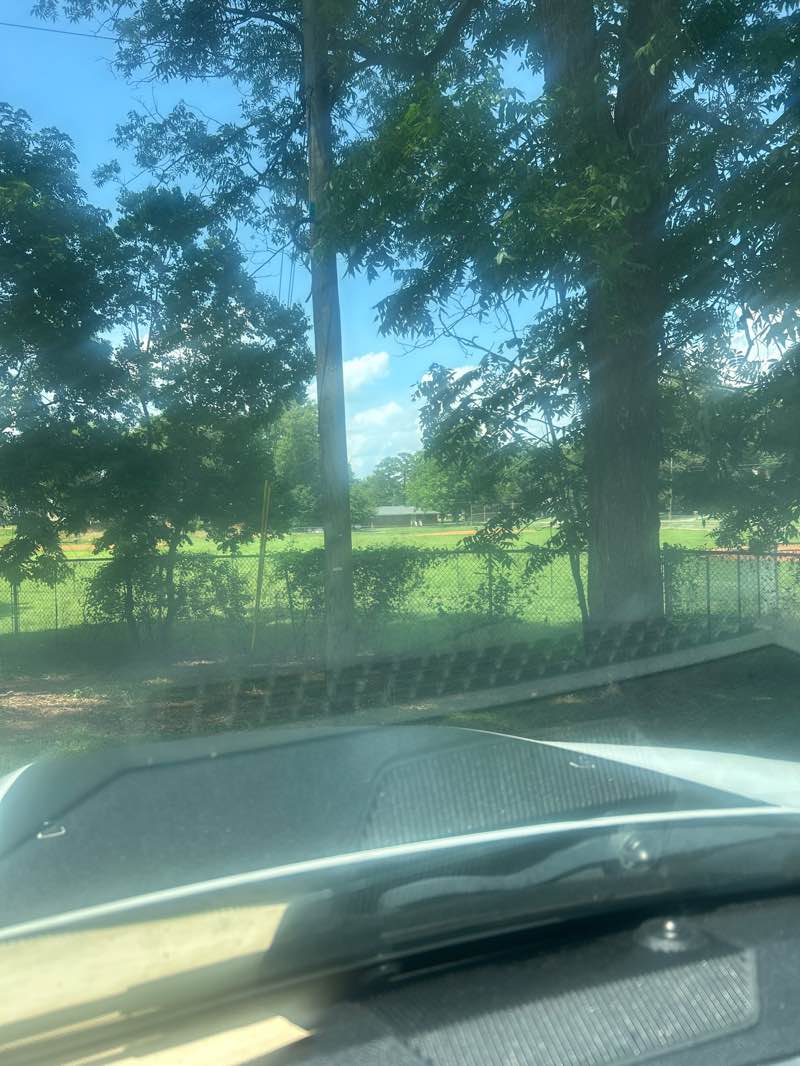 walking near me in Weaver Park in summer