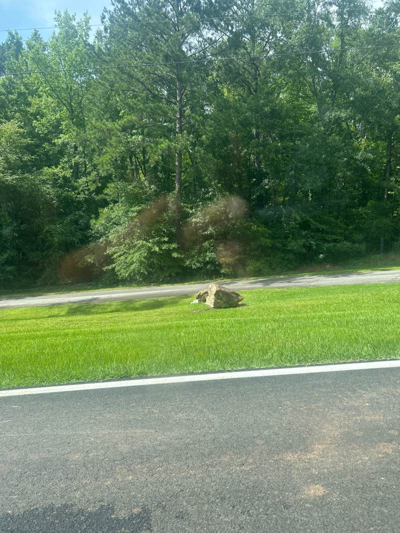 walking near me in Auchumpkee Creek Covered Bridge in summer