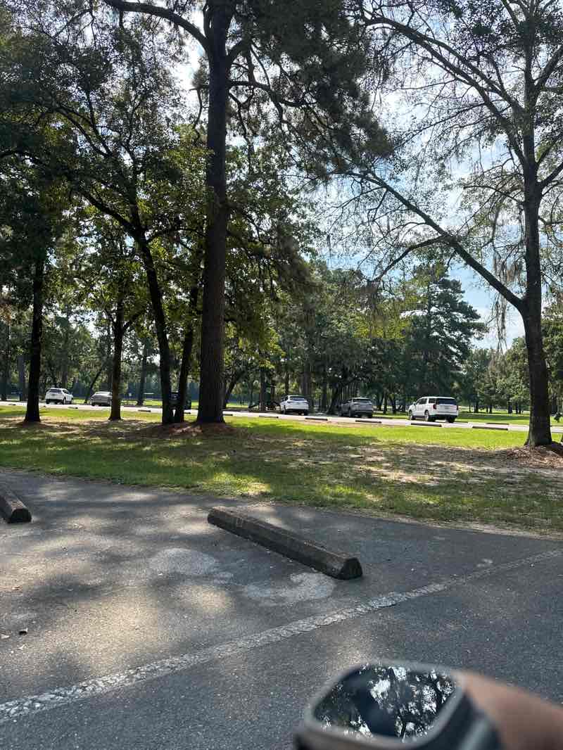 walking near me in Burroughs Park in autumn