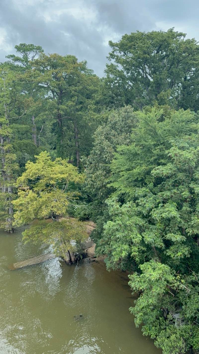 walking near me in Chickahominy Riverfront Park in summer
