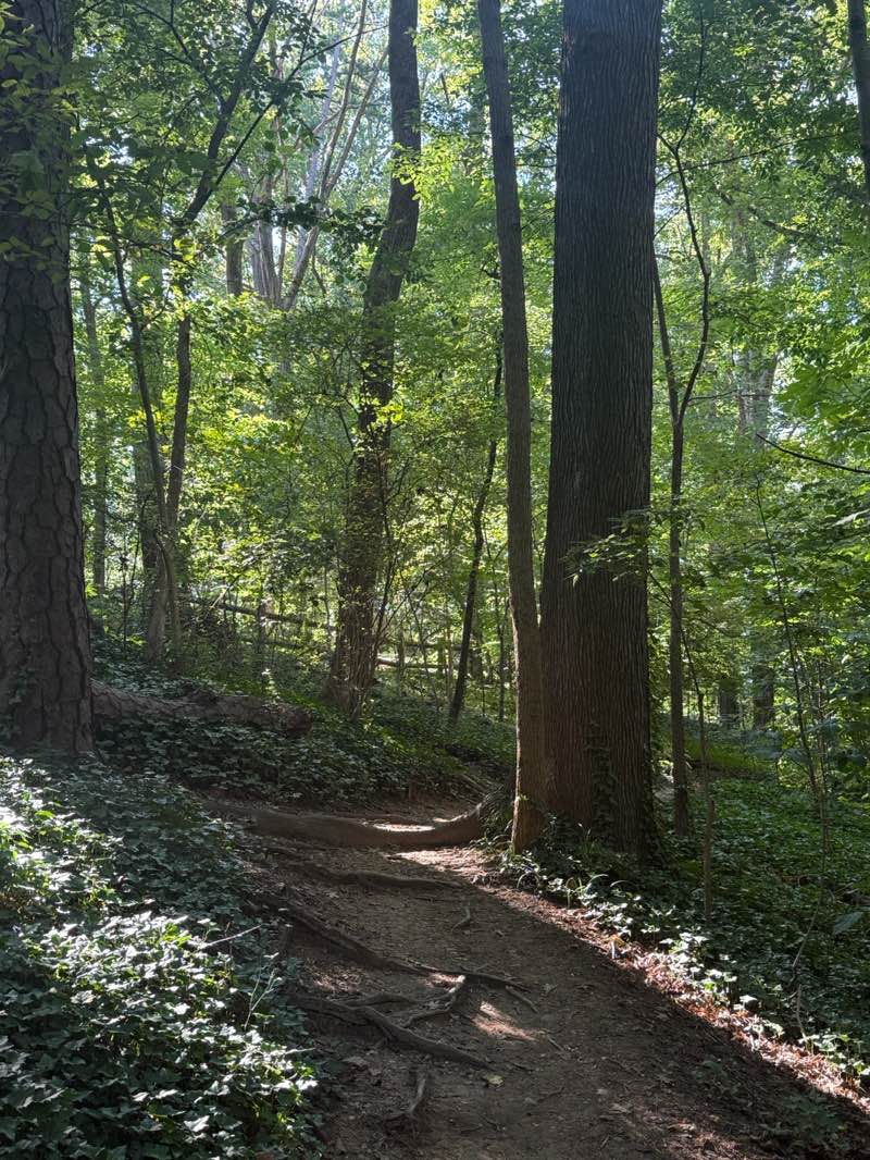 walking near me in Forest Hill Park in summer