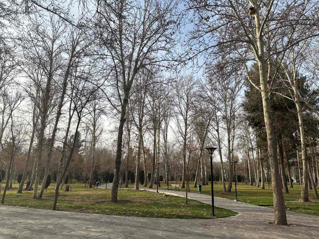 walking near me in Mellat Park in winter