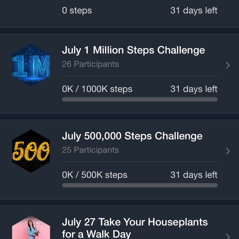Friends of Step Challenges Anna post image
