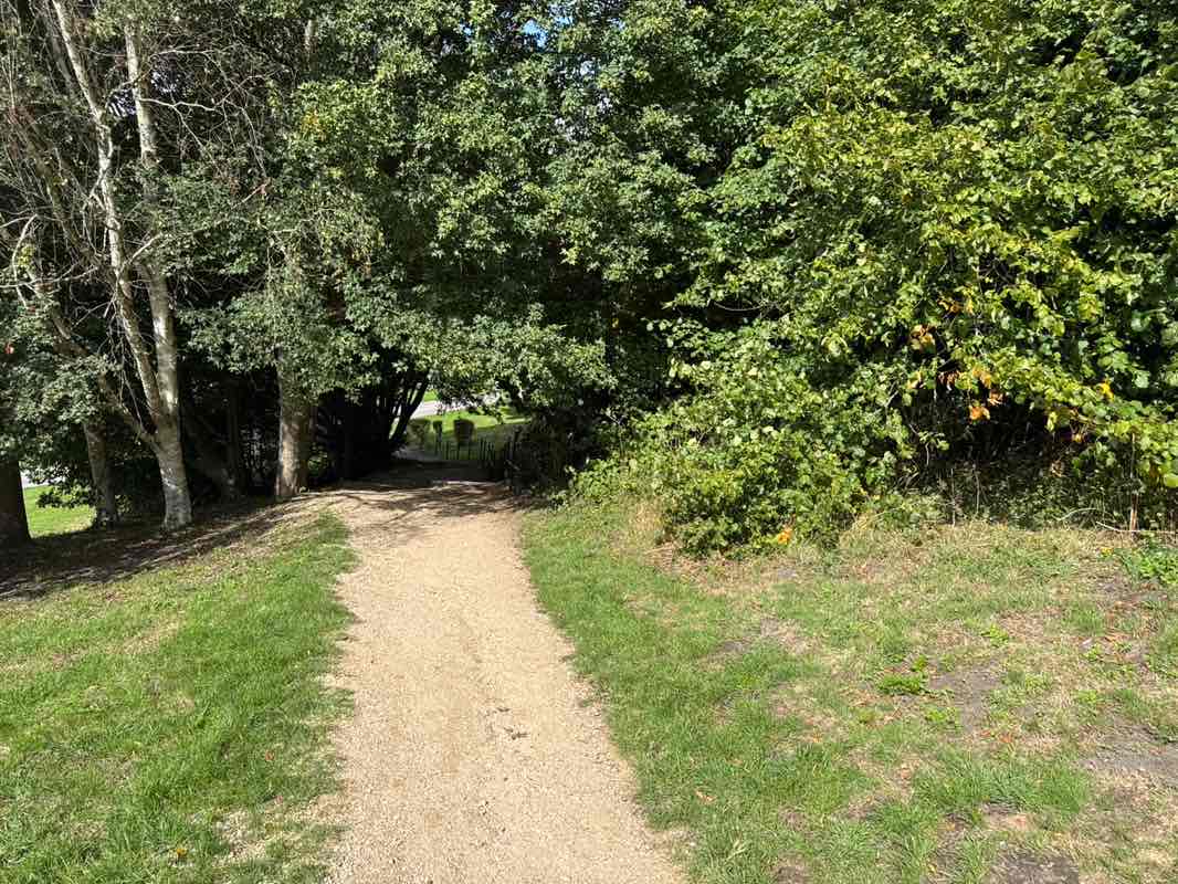 walking near me in Lake Pleasure Grounds in autumn