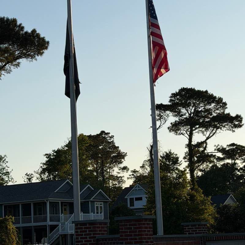 Delaine Macdonald post 2