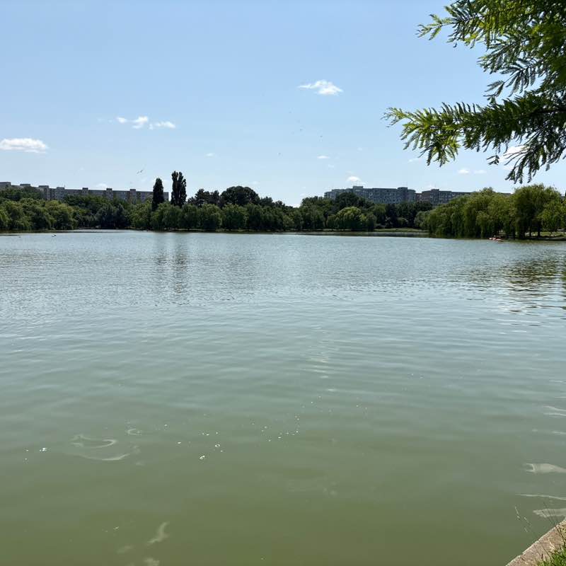 Alexandru Nica post 1