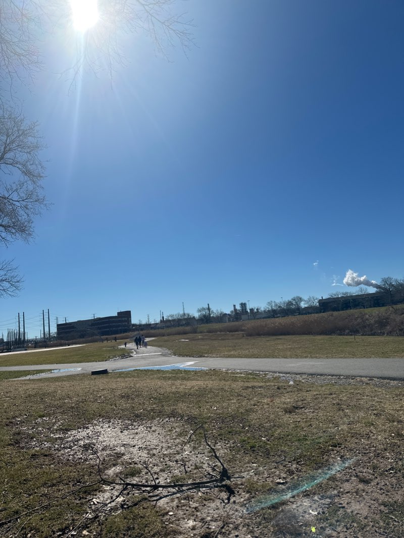 walking near me in Mattano Park in winter