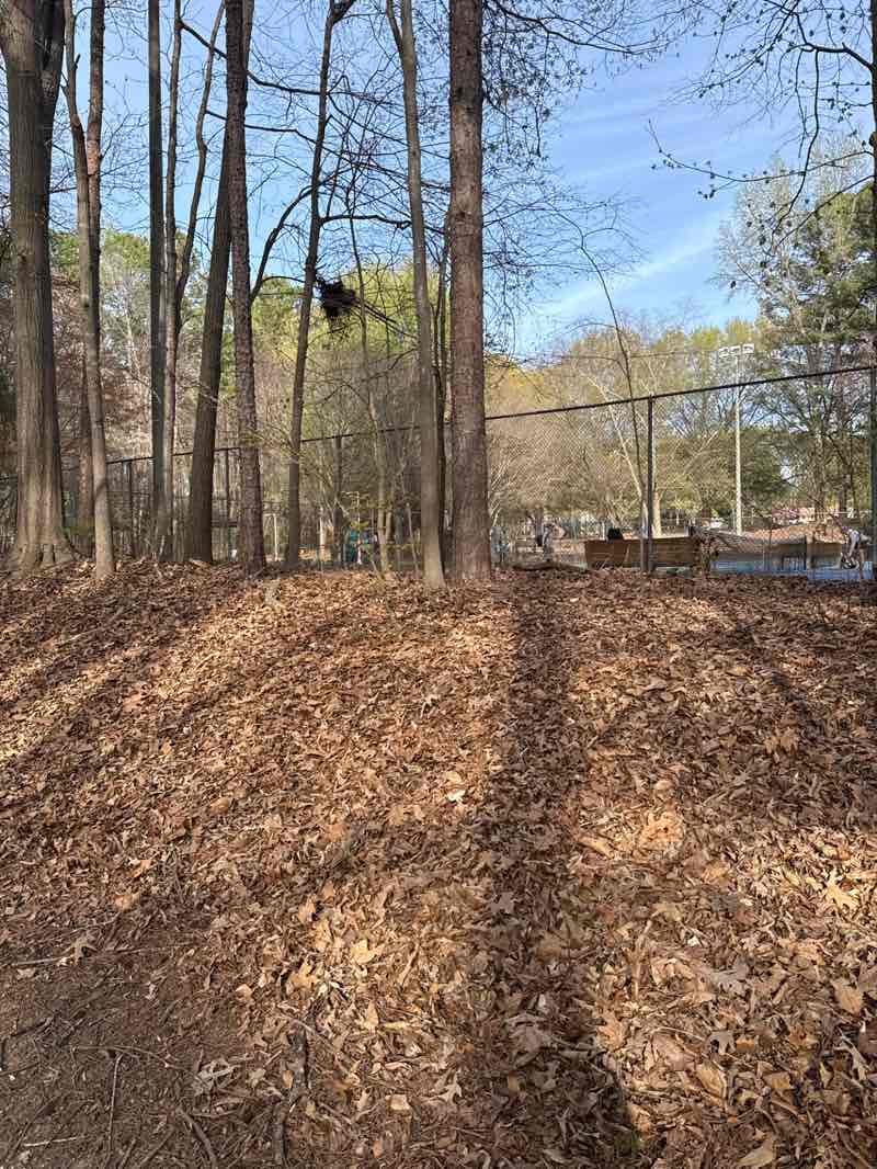 walking near me in Eastgate Park in spring