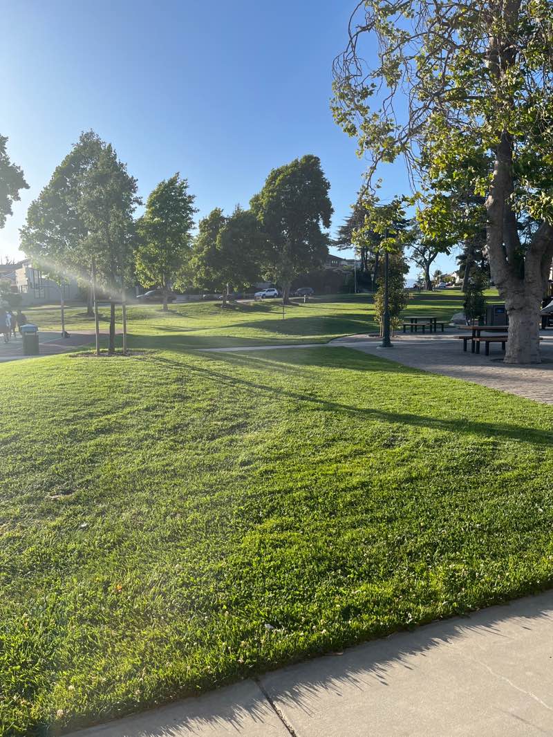 walking near me in Callaghan Park in summer