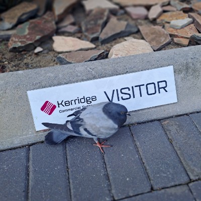 Kerridge Walking Challenge Tersia post image