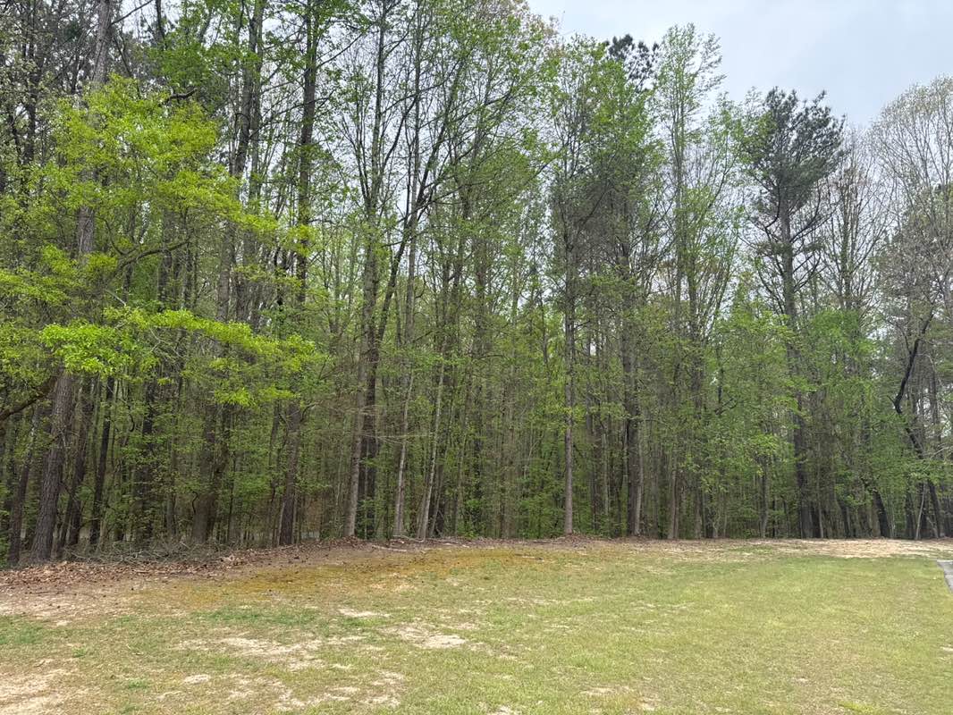 walking near me in Tribble Mill Park in spring