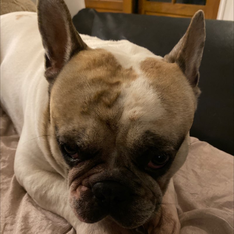Lucie