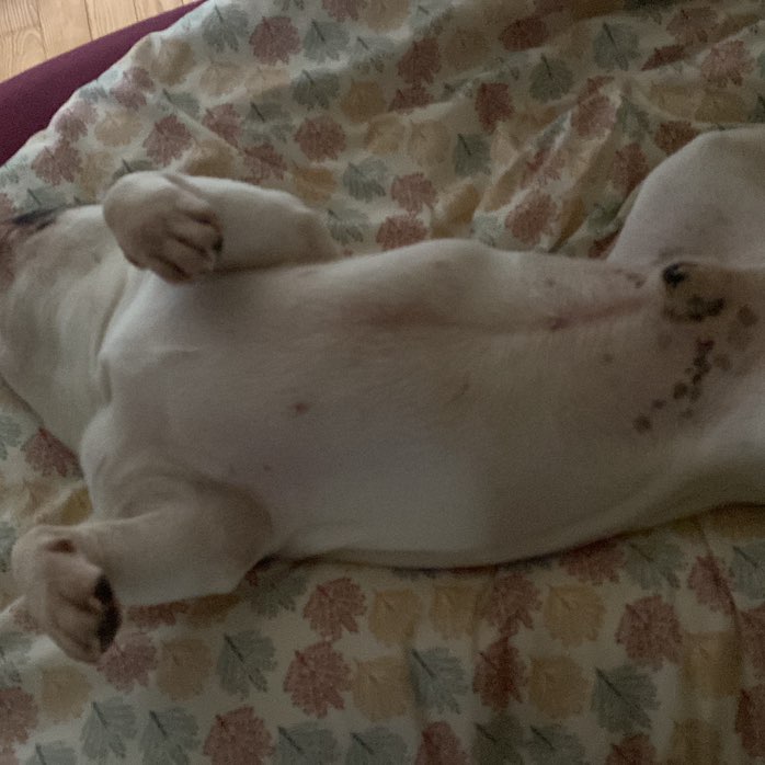 Lucie post 1