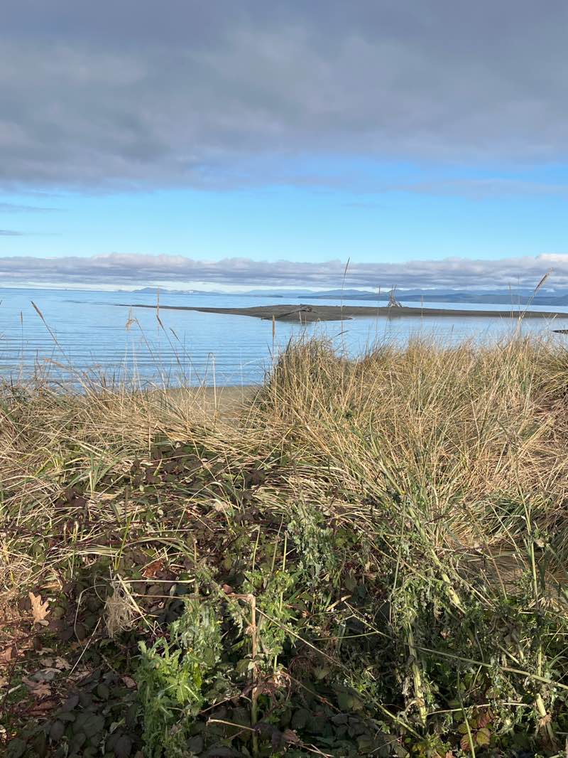 walking near me in Parksville Community Park in winter