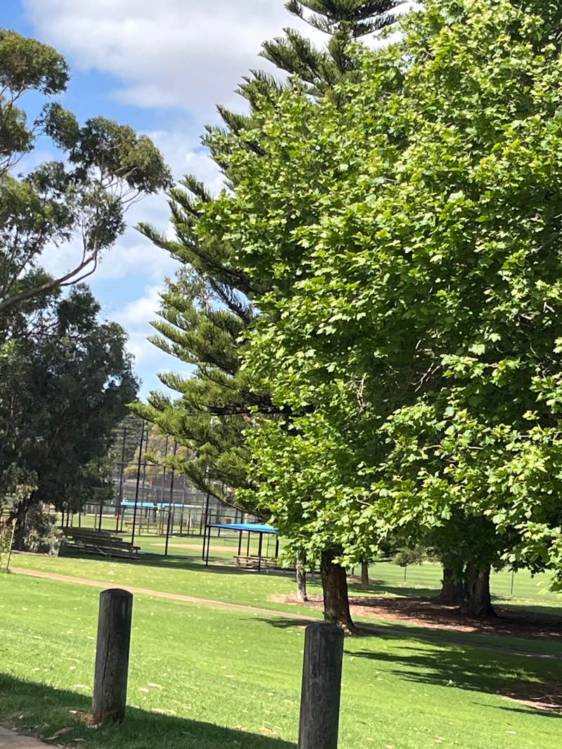 walking near me in Carine Open Space in spring