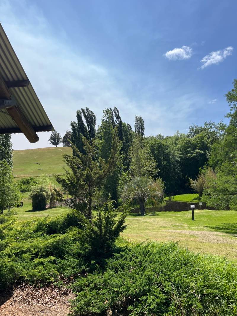 walking near me in Golden Valley Tree Park in spring