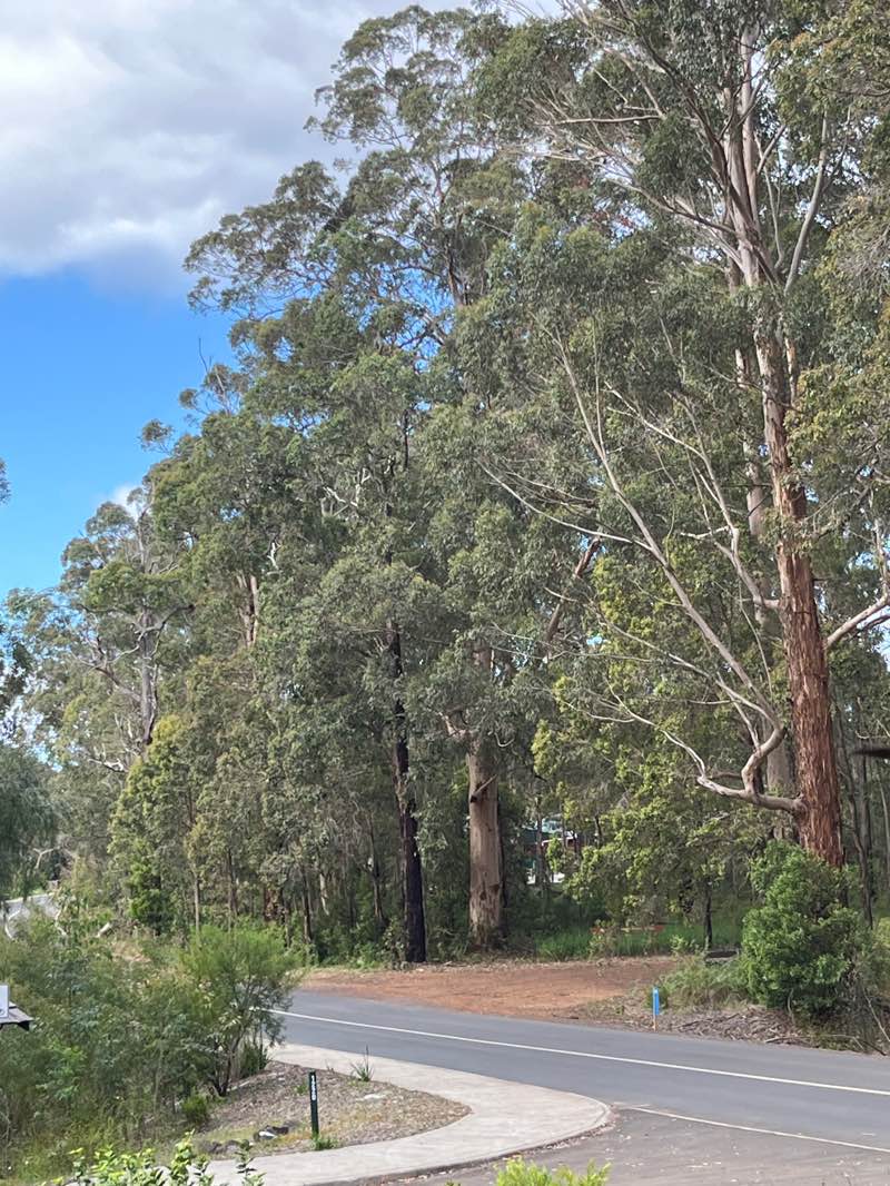 walking near me in Greater Dordagup National Park in spring