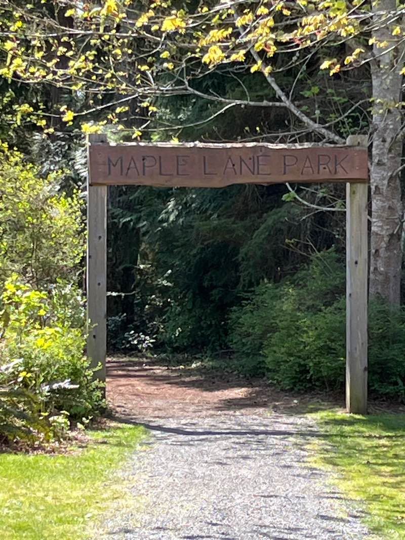 walking near me in Maple Lane Community Park in spring