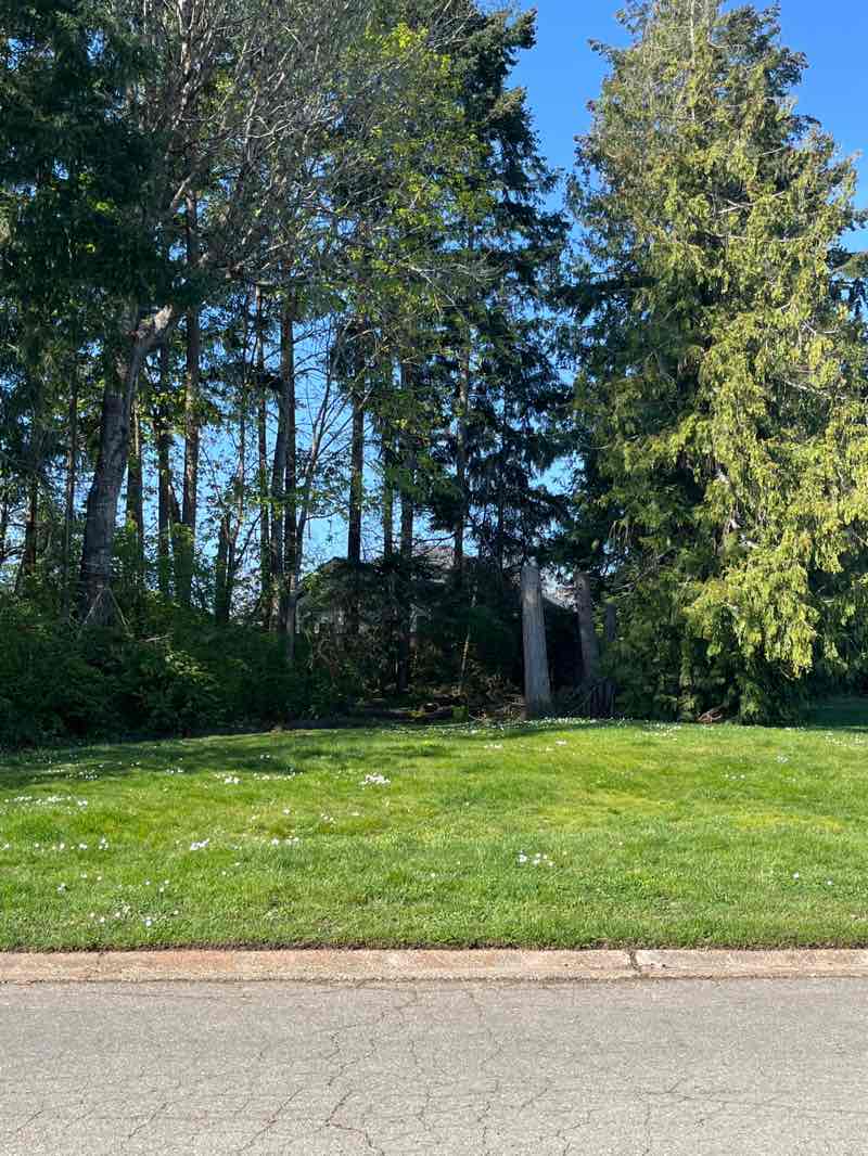 walking near me in Wisteria Park in spring