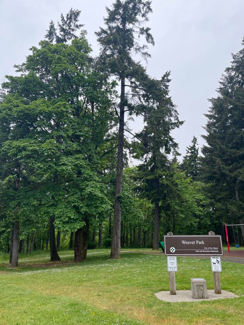 walking near me in Weaver Park in spring