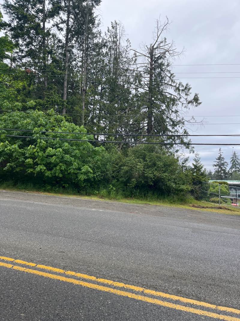 walking near me in Lee Road 2 Community Park in spring